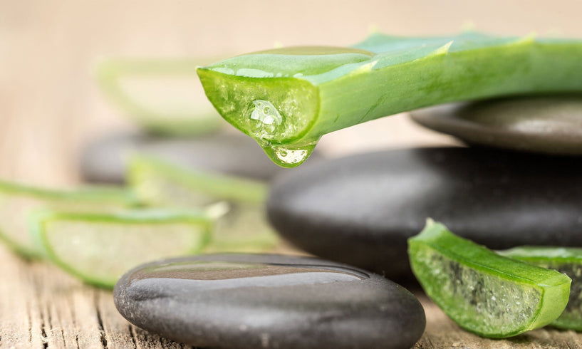 7 af de bedste naturlige ingredienser til følsom hud image
