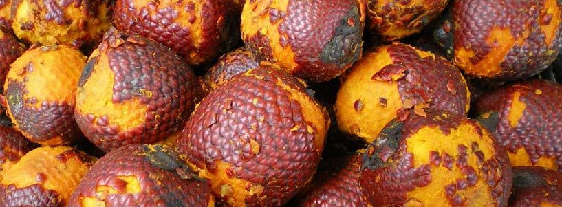 The benefits of Buriti Oil for skin & hair image