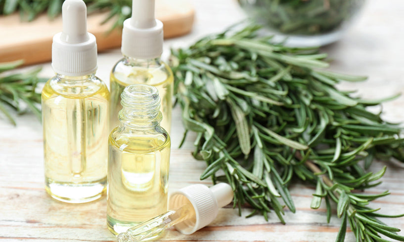 Skin benefits of Rosemary Oil & Extract image