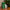 Thumbnail for All is Bright Christmas skin care gift with Christmas tree and decorations image