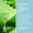 Aloe Vera leaves beside information about the soothing ingredients in Green People Aloe Vera & Prebiotics Deodorant.