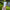 Thumbnail for videowise-widget-6650a46865d6840029d9d065-7741483024429 image
