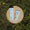 Organic Babies Calming Nappy Cream tube and box displayed on a natural wood slice atop lush green grass.