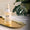 Age Defy+ Hydrate & Renew Serum dropper bottle on a gold tray with a dermatologically tested badge and green plant background.