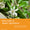 White citrus blossom with green leaves representing natural ingredients in Age Defy+ Collagen Boost Vitamin C Serum.