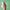Thumbnail for green people age defy+ aha radiance peel mask bottle dermatologically tested image