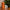 Thumbnail for Age Defy+ All is Radiant Christmas beauty gift with Christmas tree and pine cones image