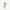 Thumbnail for Jade Gua Sha Massage Tool image