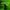 Thumbnail for videowise-widget-6650a46865d6840029d9d065-4732018622509 image