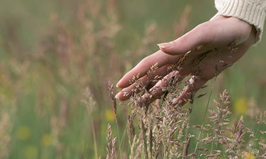 Natural skin care for rosacea-prone skin image