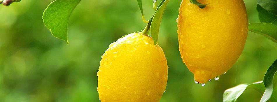 Hvorfor er der citronsyre i nogle af produkterne?